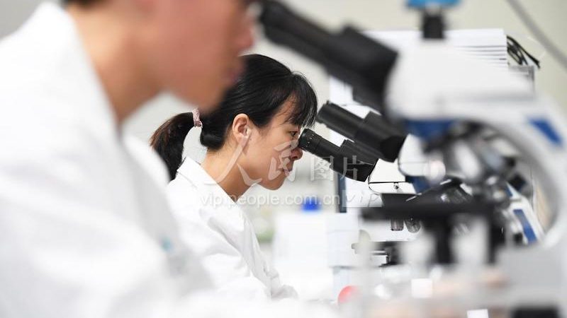 电商CRO报价优化：揭秘合理成本背后的逻辑**