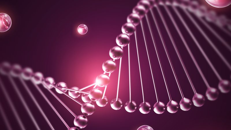实验室细胞培养瓶材质的选择：揭秘不同材质的优缺点