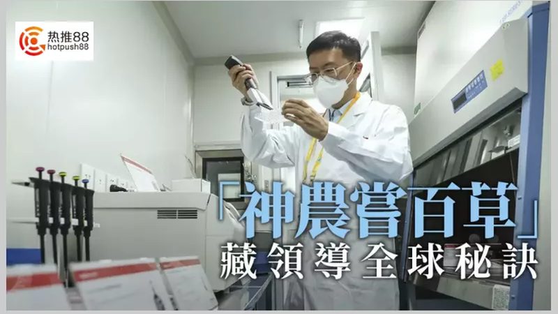荧光定量PCR试剂：揭秘其背后的技术奥秘与价格构成**
