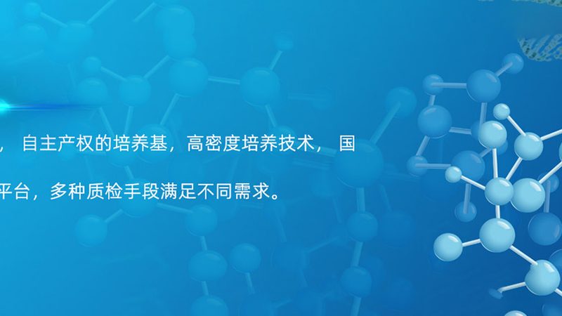 临床试验数据管理：CRo如何高效保障数据质量