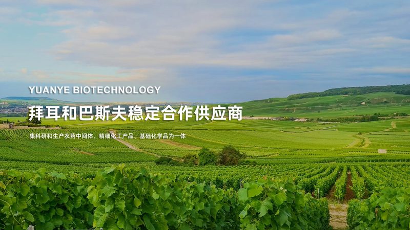 基因检测与基因筛查：揭开二者的神秘面纱