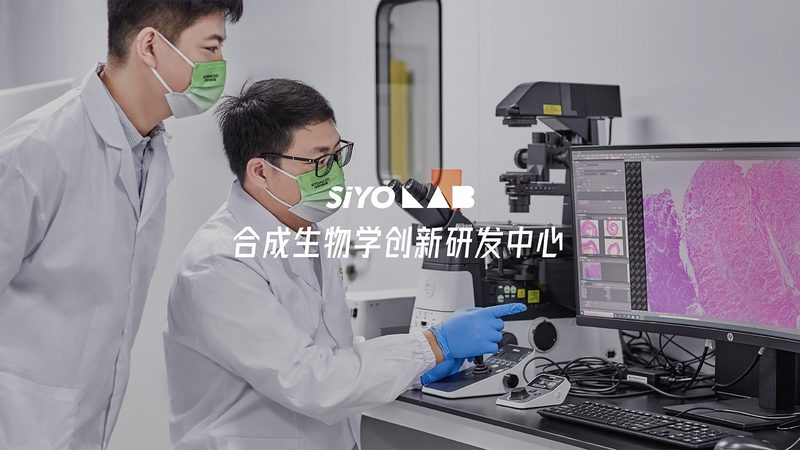 饲料用酶与微生态制剂：两种饲料添加剂的原理与区别