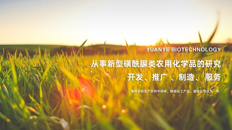 基因检测与基因筛查：揭秘两者间的微妙差别