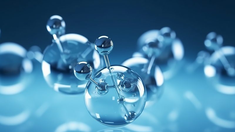 抗体人源化改造：成功率背后的关键因素