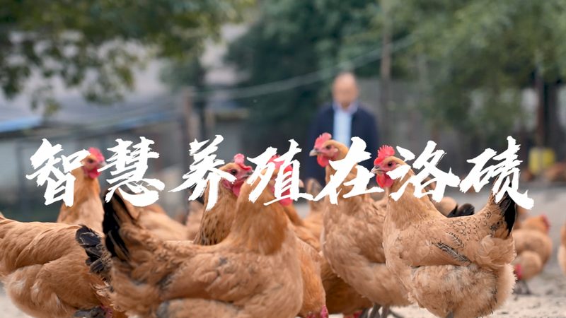 PP与PS离心管材质：如何选择更合适的实验伴侣**
