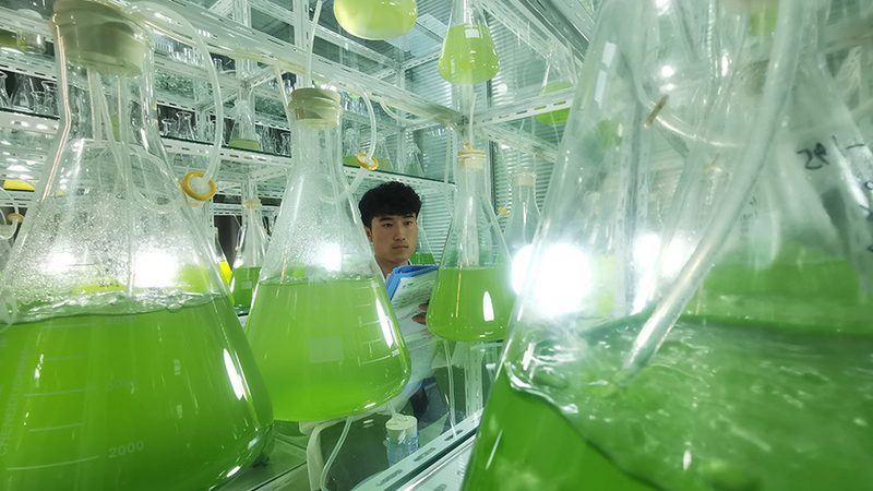 CRS在生物医药研发中的应用：案例解析与行业洞察**